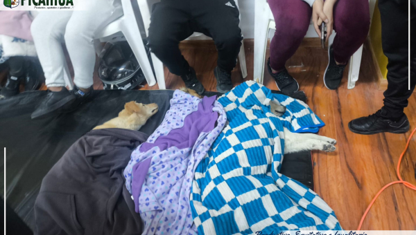 CAMPAÑA DE ESTERILIZACIÓN CANINA Y FELINA EN PICAIHUA: UN ÉXITO EN AUTOGESTIÓN Y SOLIDARIDAD
